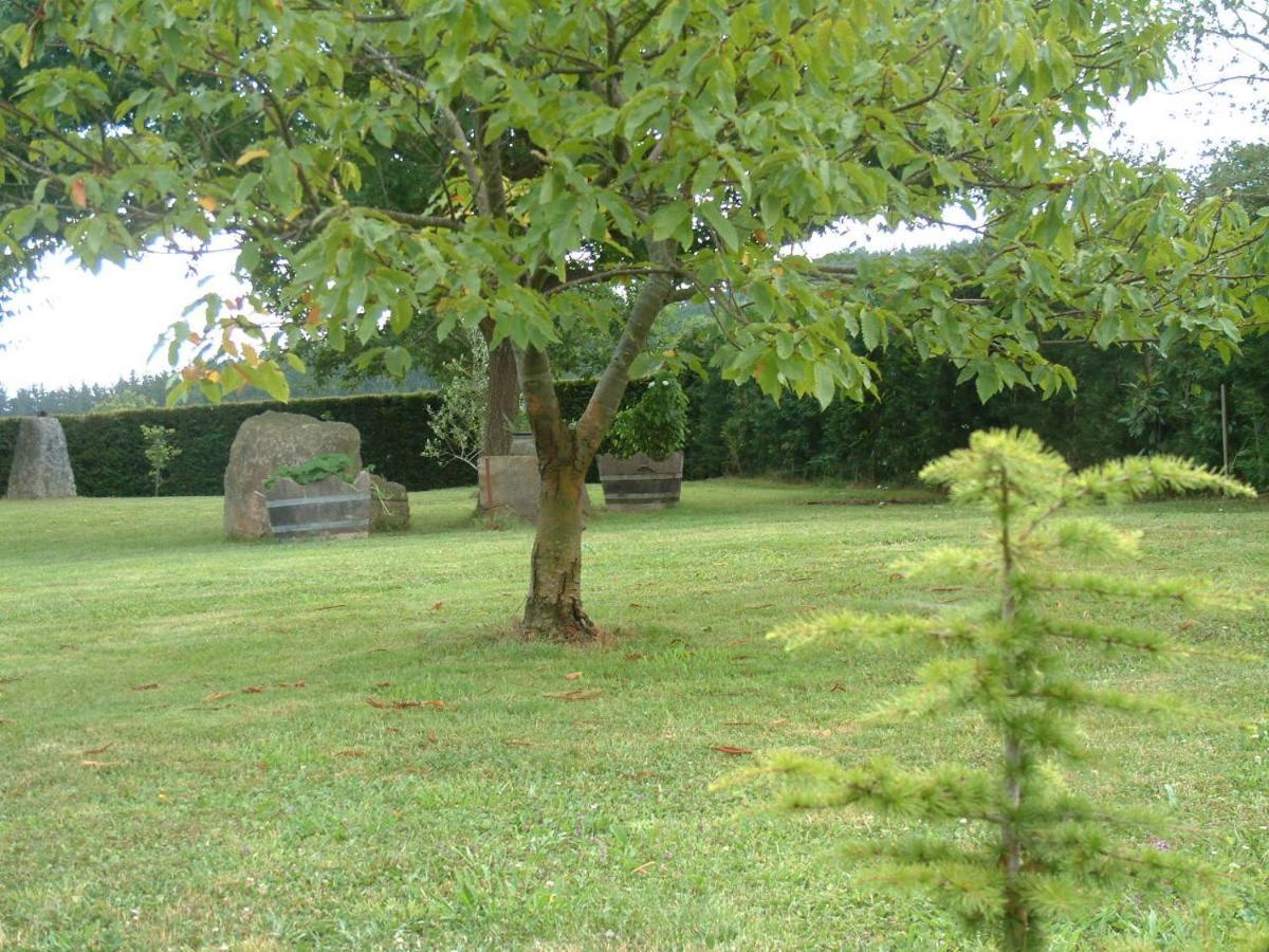 Albergue Eskerika Exclusivo Peregrinos Esquerica Dış mekan fotoğraf